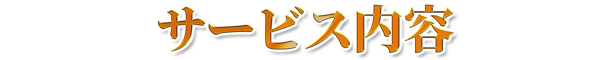 サービス内容